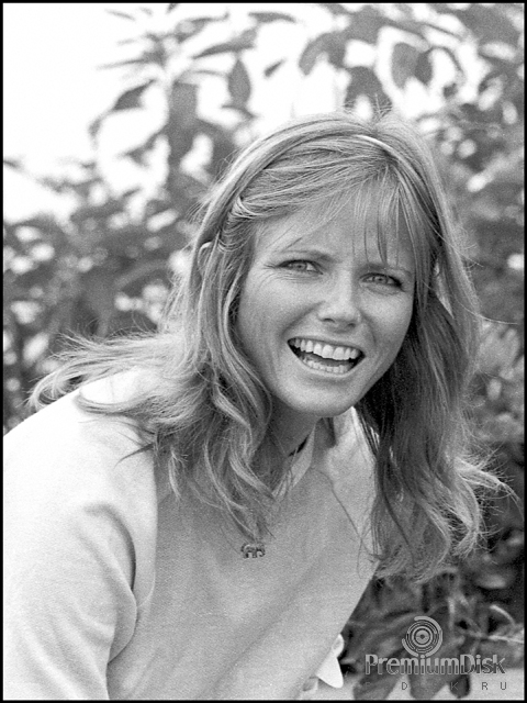 Cheryl Tiegs. 