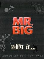 Mr. Big – What If... 4 DVD BoxSet (Коллекционное) - DVD